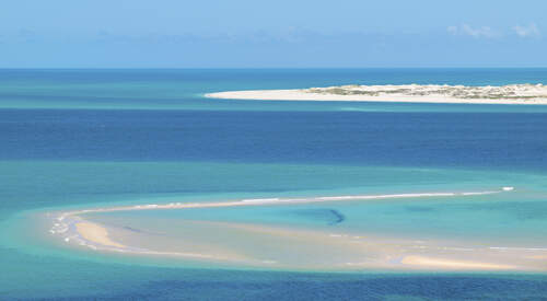 Safari au Gorongosa et plages du Sud  