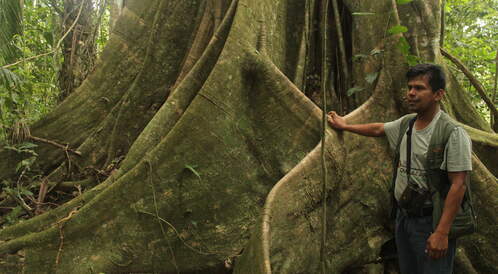 Une semaine à la découverte de l'Amazonie