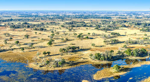 Okavango - Moremi - Chobe 